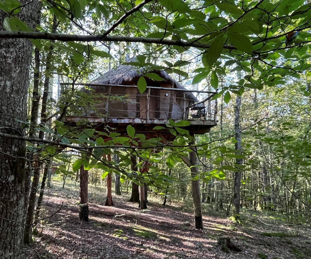 Cabane
