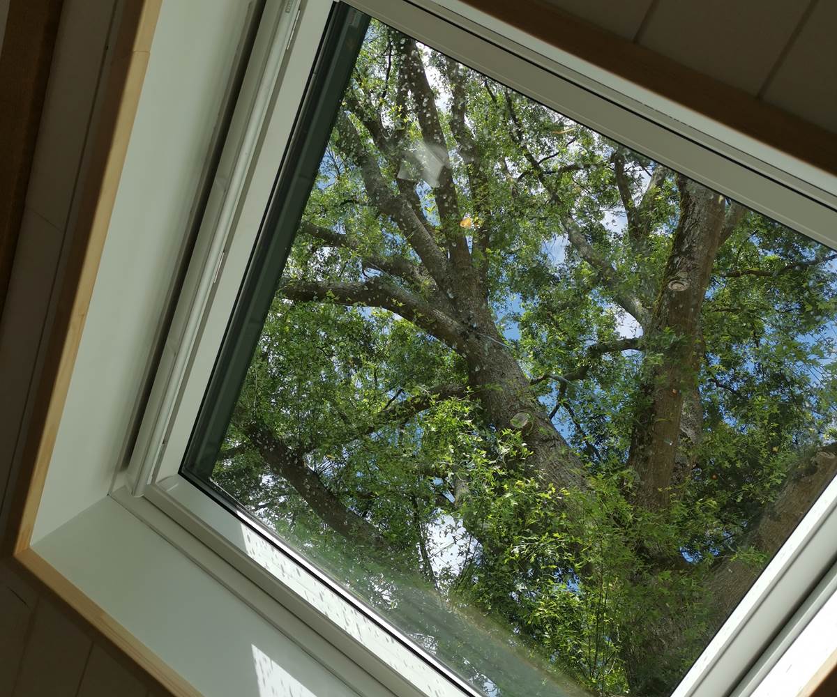 vue depuis le lit de la chambre d'hôte Les 3 cèdres du Moulin de La Retardière 0 Orvault