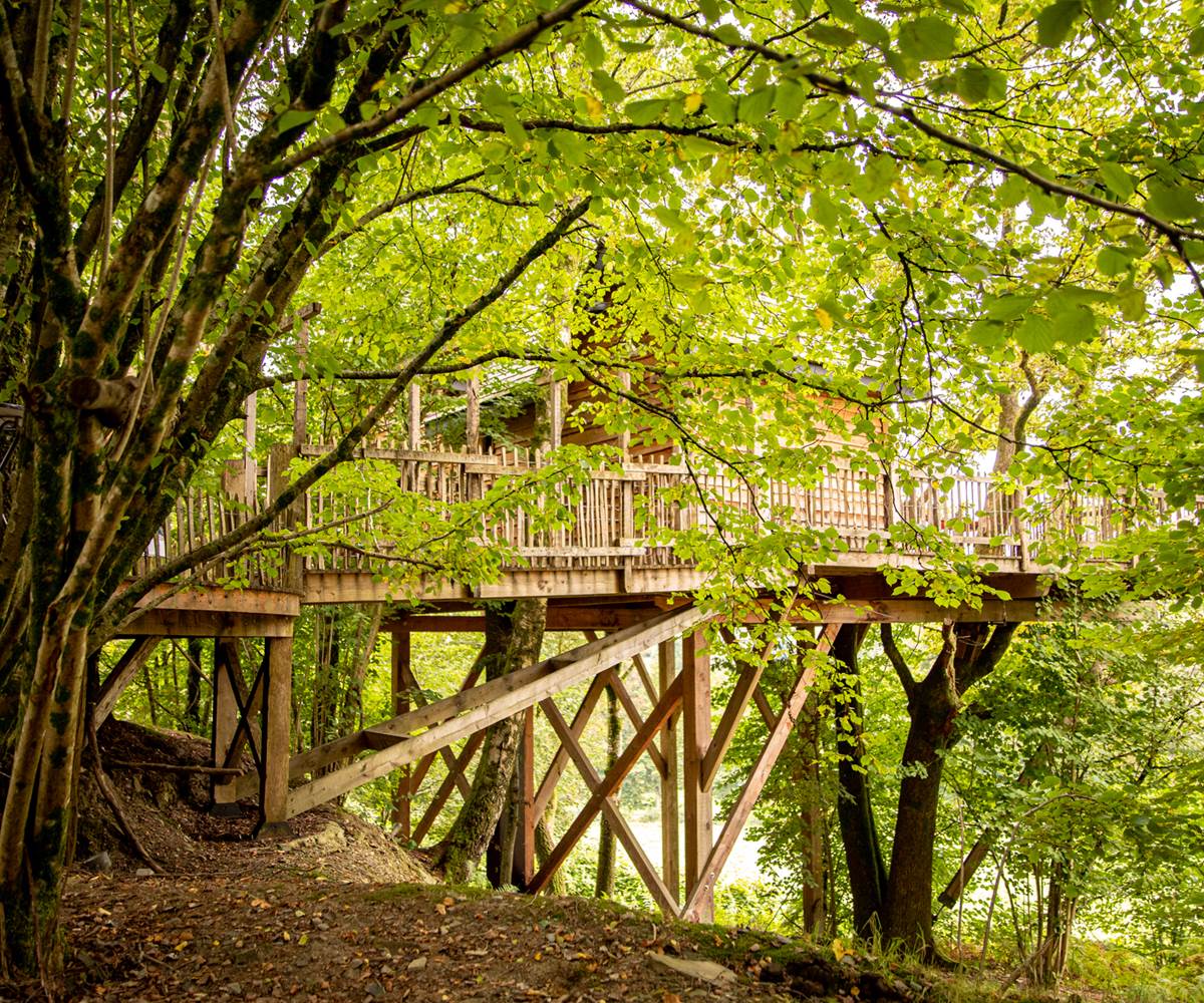 Baudet_d_Ane_Portes_Ouvertes (62)