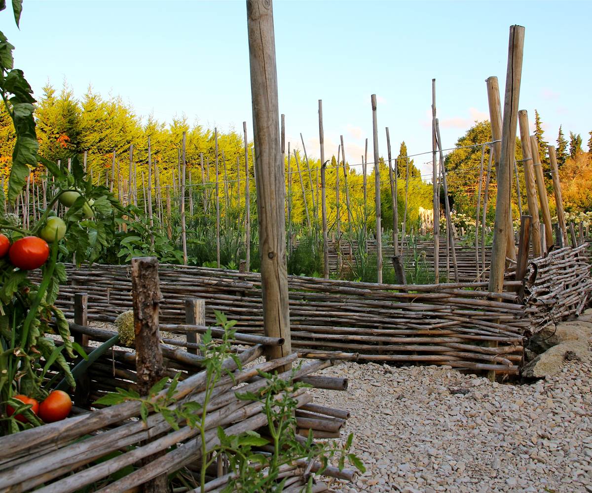 Potager 2