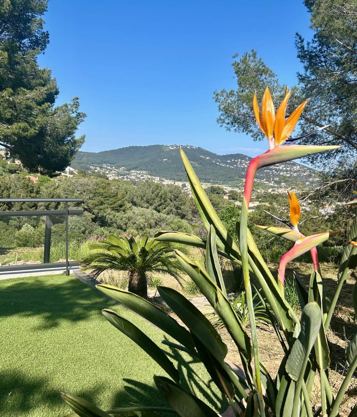 Jardin vue mer-photo-news