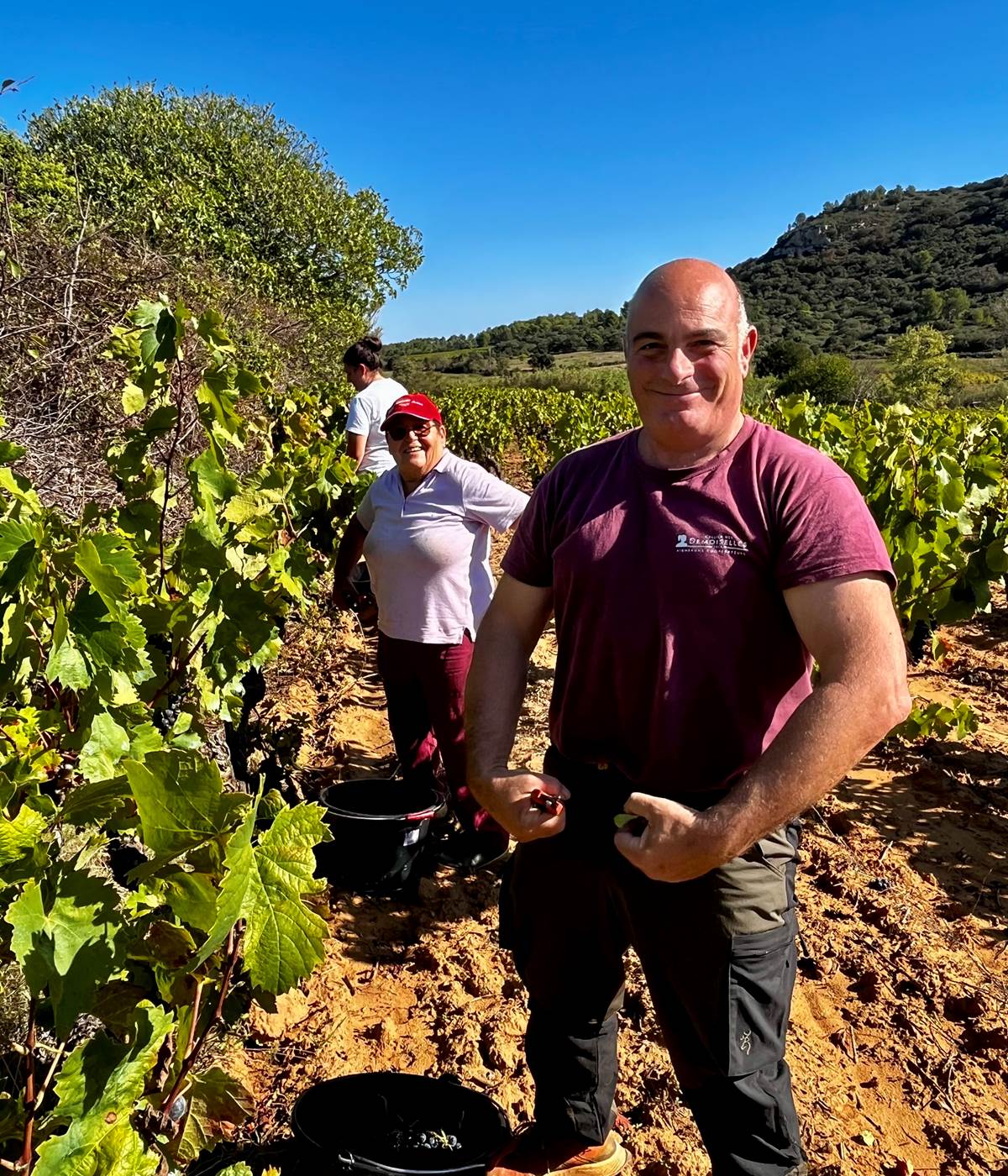 Bravo Jacques pour ce millésime !-photo-news