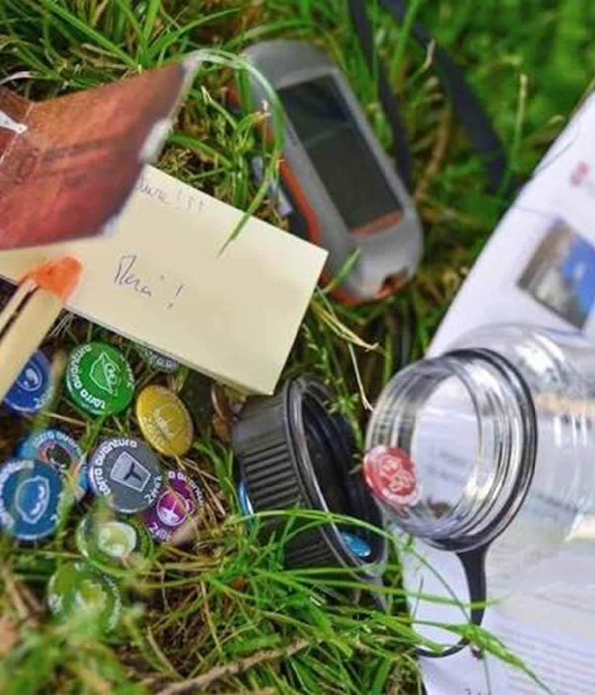 Family Fun-photo-news