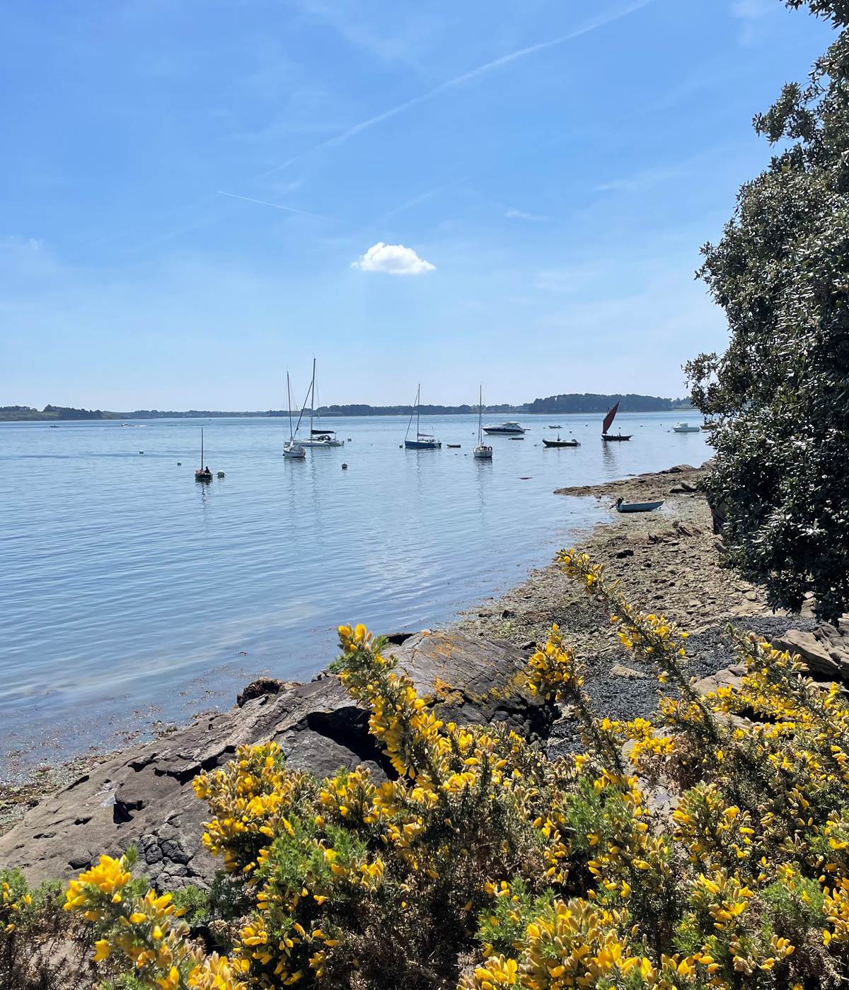 Sans titre-photo-news