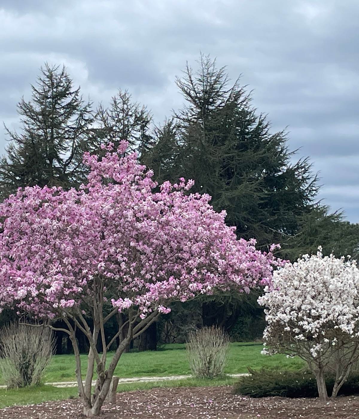 Sans titre-photo-news