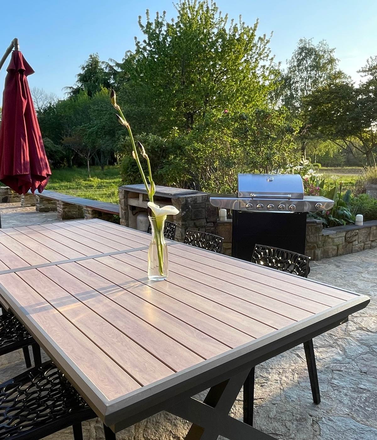 Terrasse plein Sud et Ouest vue sur le parc-photo-news