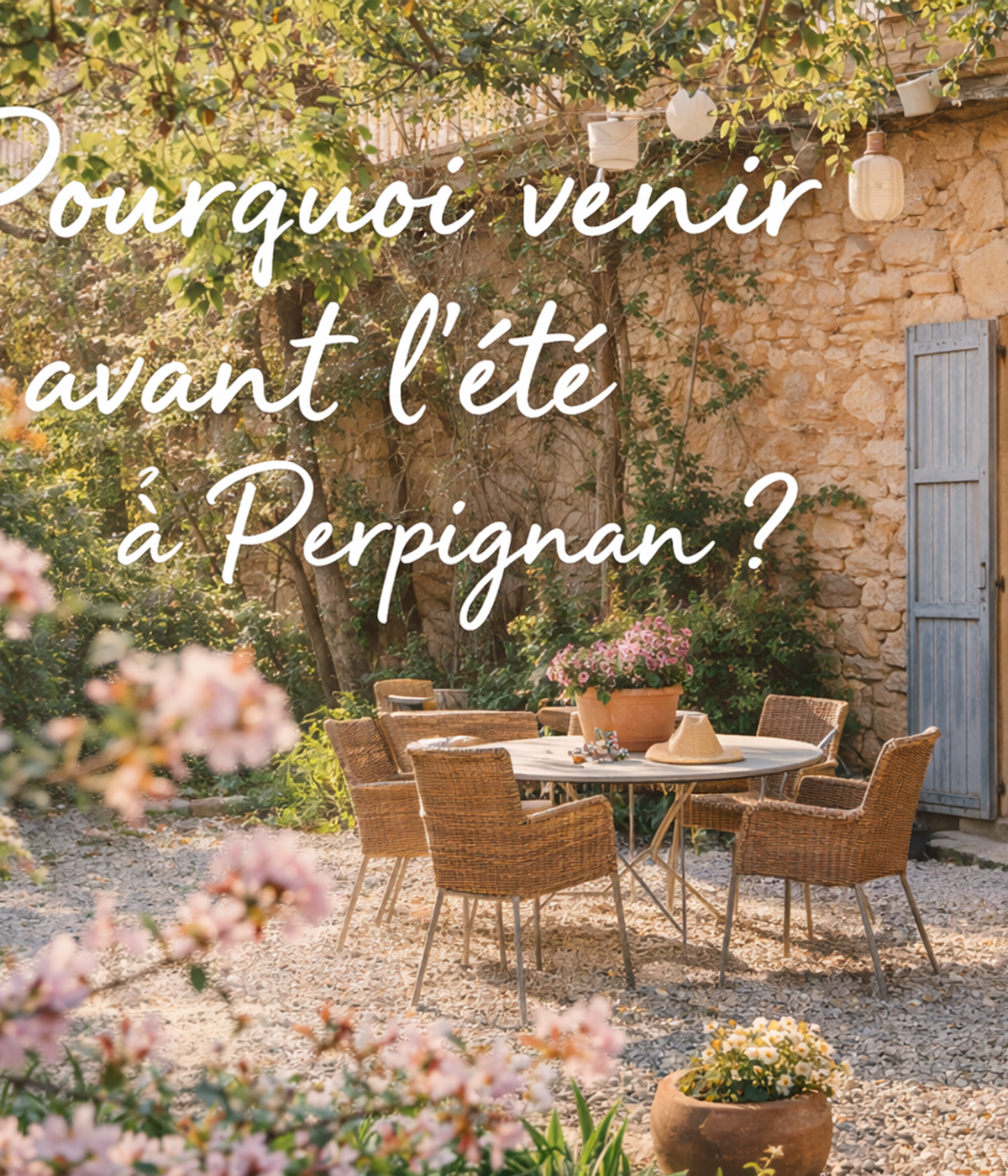 Maison-en-pierre-sous-les-fleurs-roses-photo-news