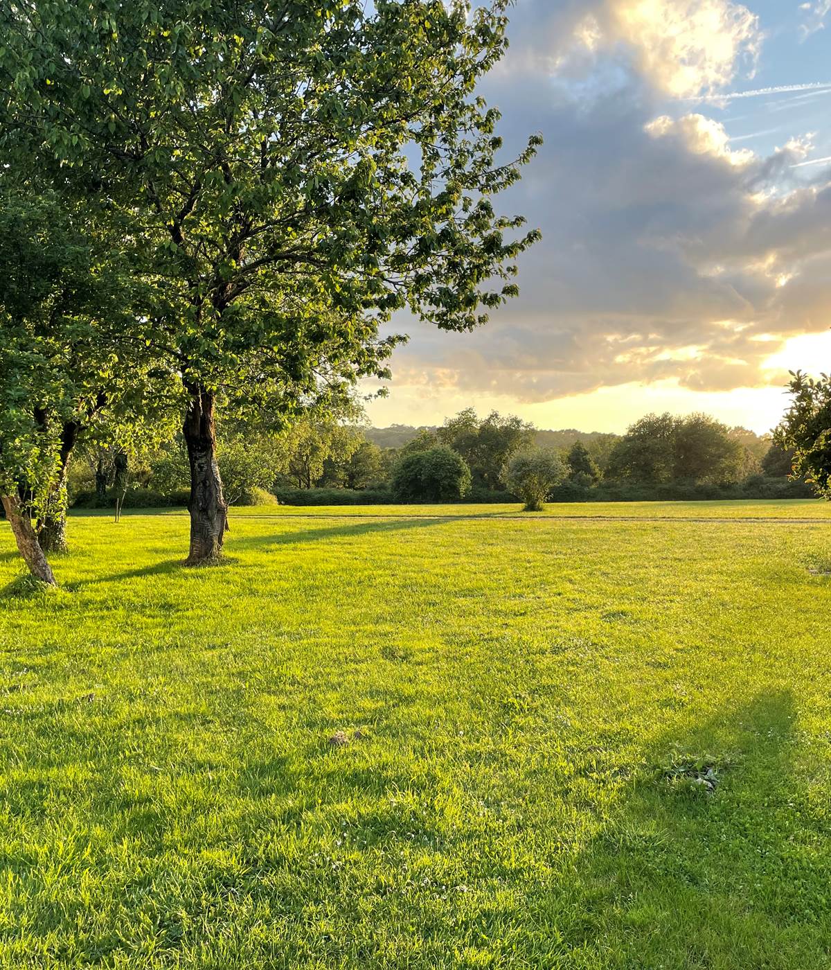 Grand parc pour jouer, courir-photo-news