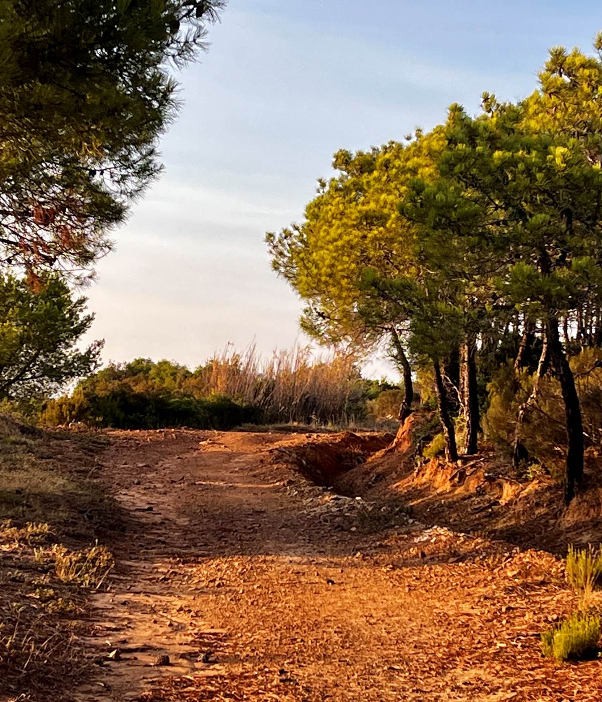 place aux balades-photo-news