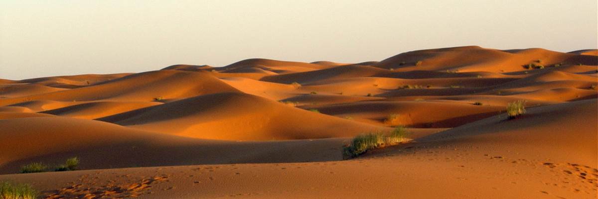 Les dunes de l'erg Chebbi