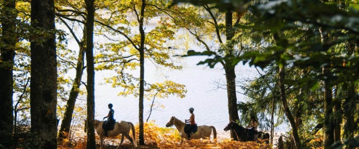 balade lac de vassiviere automne-carousel