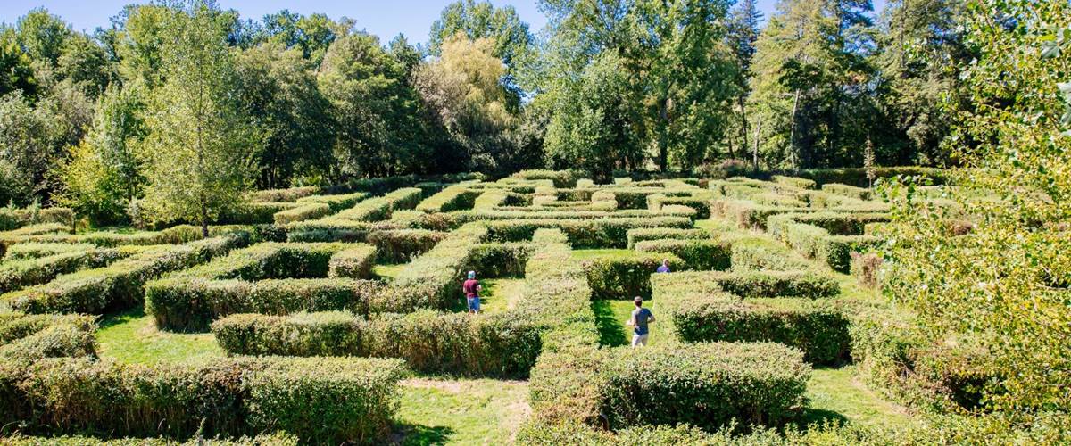 labyrinthe végétal-carousel