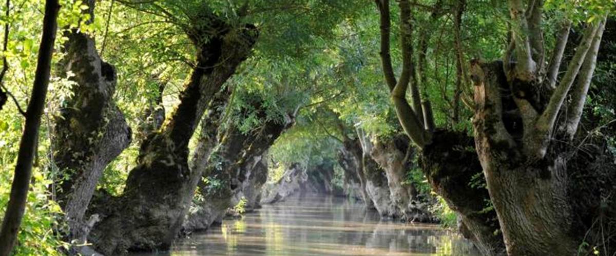 Marais poitevin-carousel