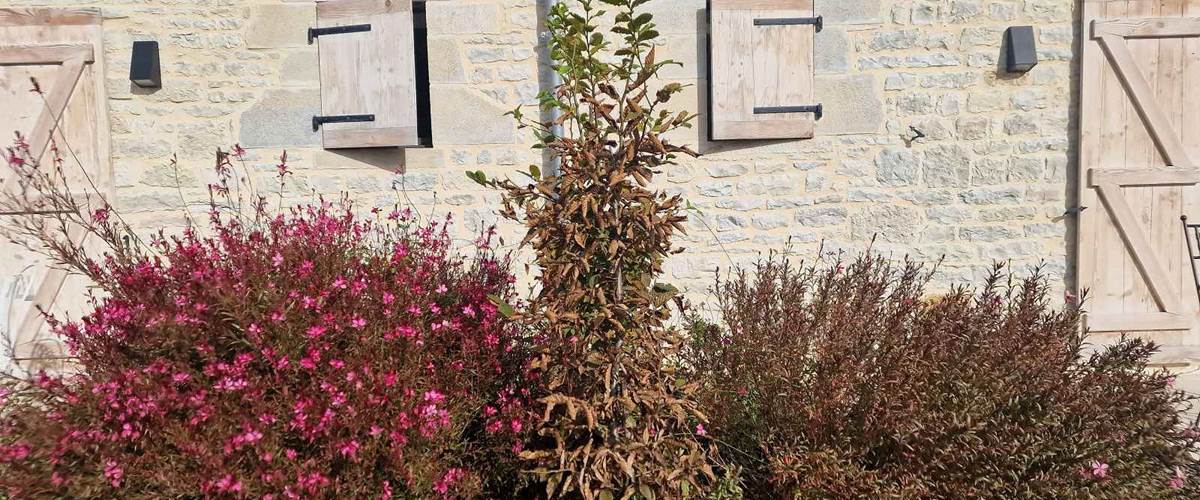 chambre-d-hotes-fleurs-avec-terrasse-vallee-dordogne-loubressac-carousel