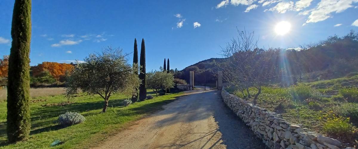 Domaine Saint Martin coté garrigue ***