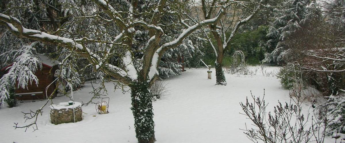 JARDIN SOUS LA NEIGE