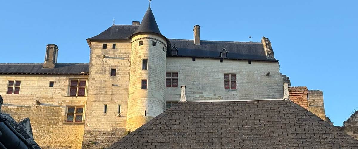 Une des vues sur le château depuis le gite-carousel