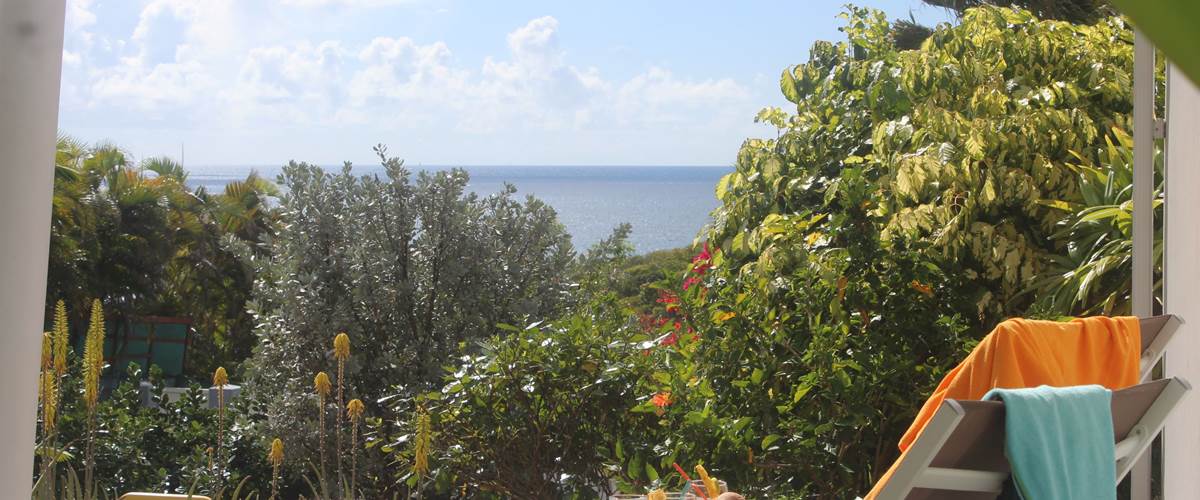 Iguane House villas et micro spa piscine et vue mer Mangrove REDIM.JPG