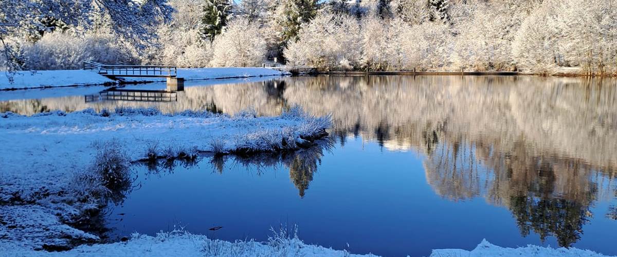 Hiver la Garenne-carousel