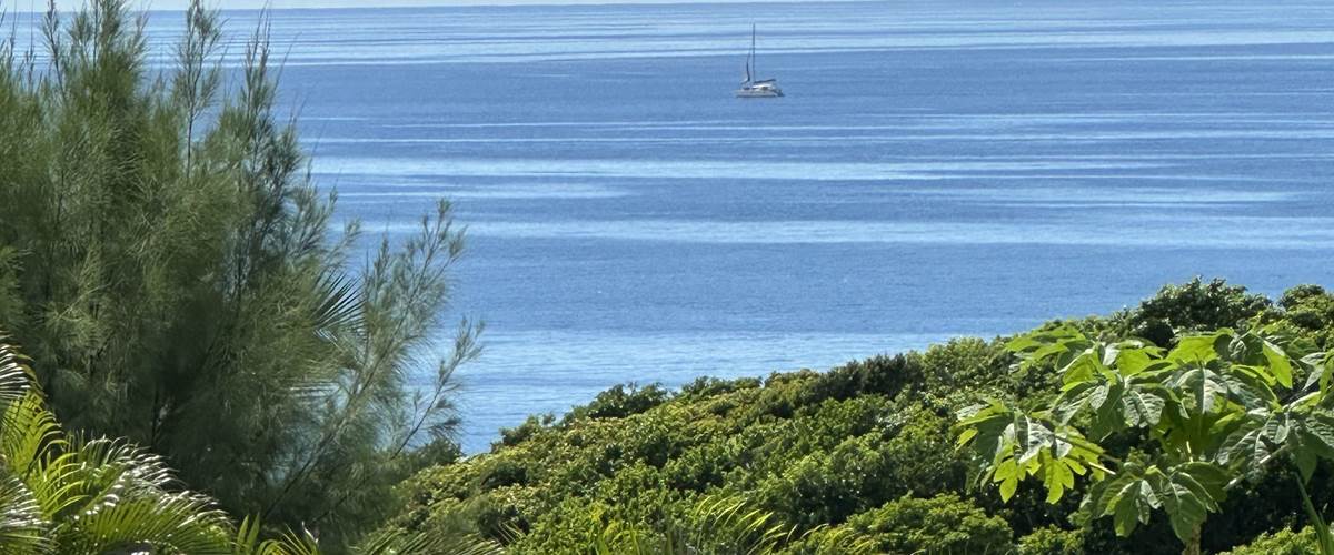 Iguane House villas & Micro Spa Evasion estivale