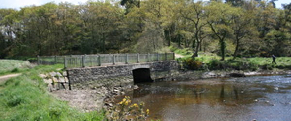 pont remoulin-carousel