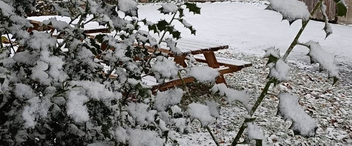 IMG-20251119-WA0013-carousel