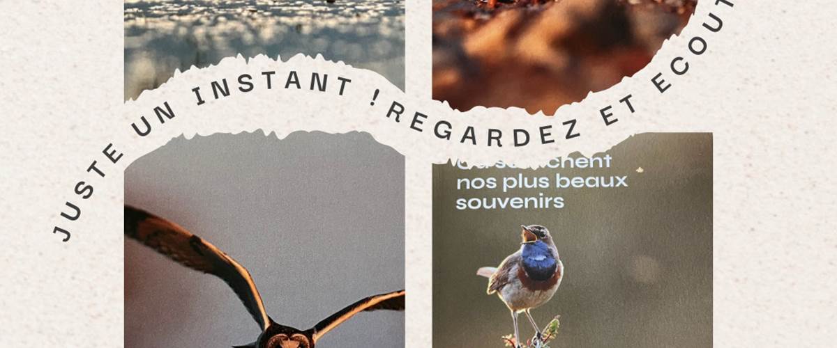 Sorite du guide touristique Vendée du Sud 2025
