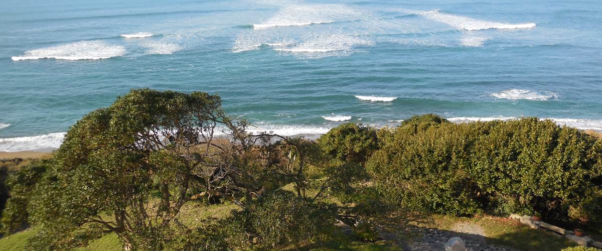 vue sur le spot de surf