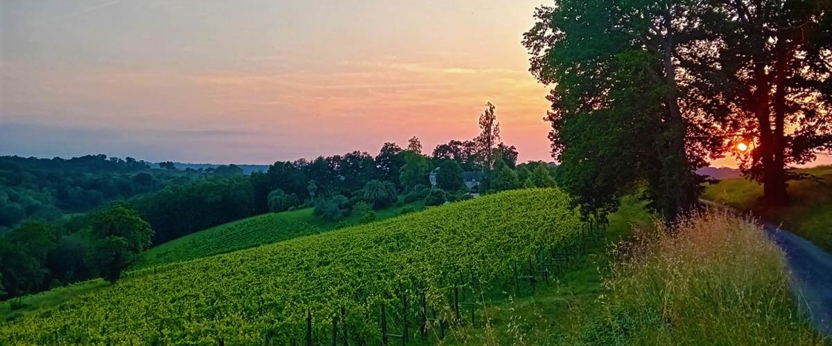 Balades et Randos sur les coteaux du Vin de Jurançon, Vignes, départs depuis Pau en van 9 places, La Belle Escapade