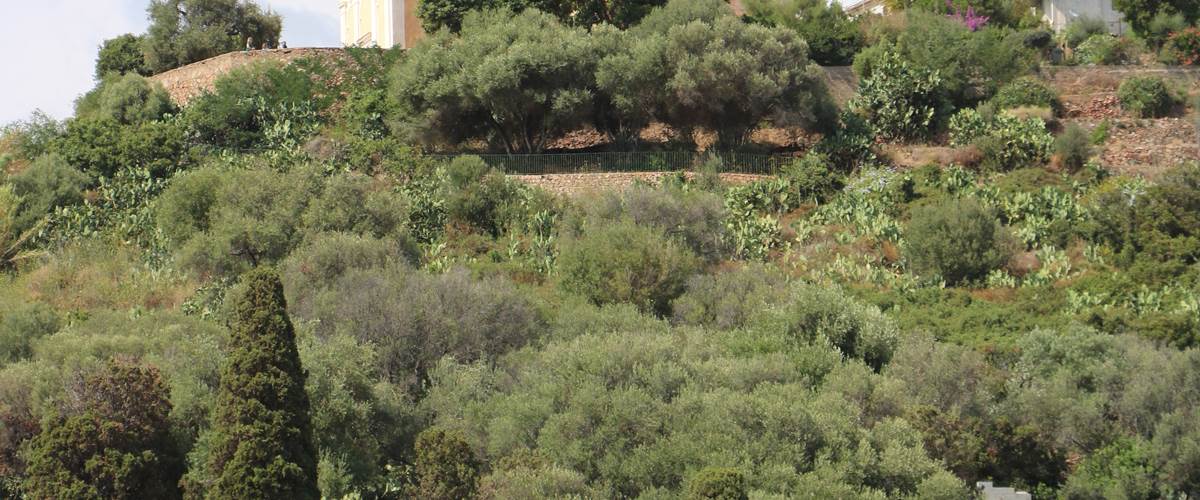 cimetière de Cargèse, Corse