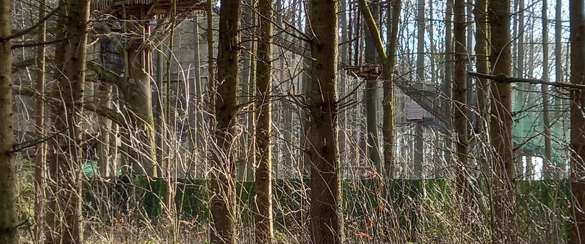 Si vous regardez bien vous voyez les cabanes du Fraxinus