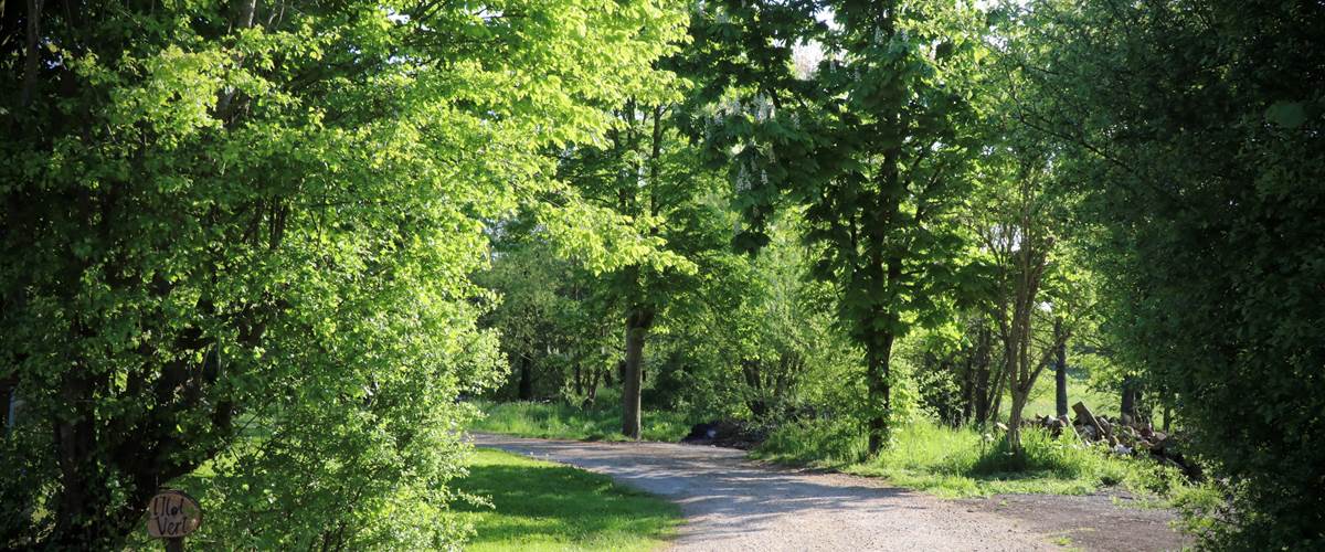 Chemin d'accès-carousel