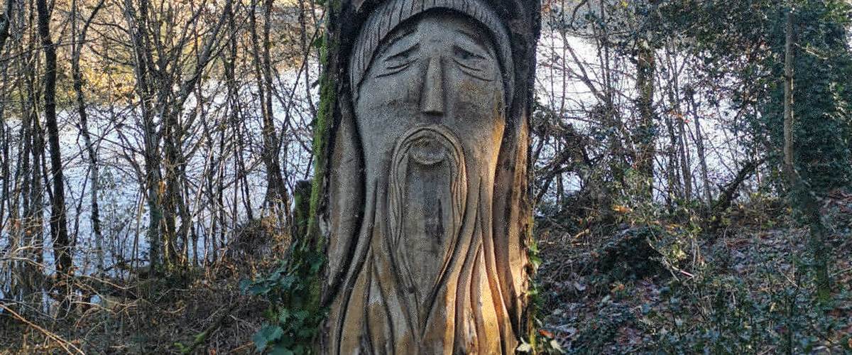 Les arbres sculptés-carousel