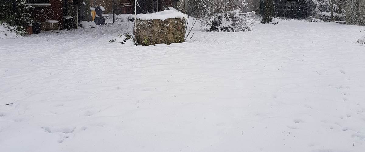 JARDIN SOUS LA NEIGE