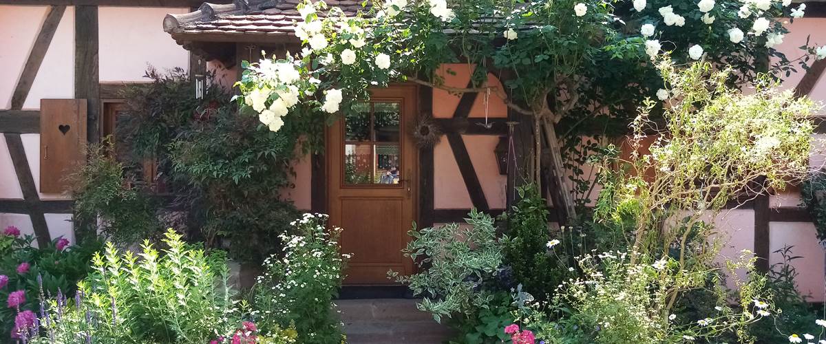 L'entrée fleurie de la maison