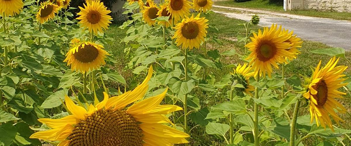 portail d'entrée-carousel