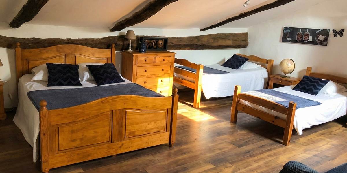 ombrebleuedufigfuier-chambre-châtaigne 4