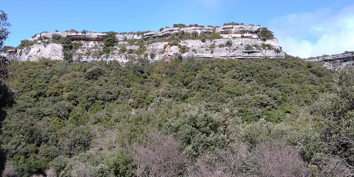 Minerve
