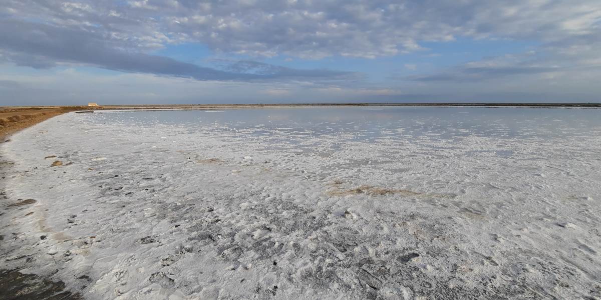 Marais salins de Gruissan