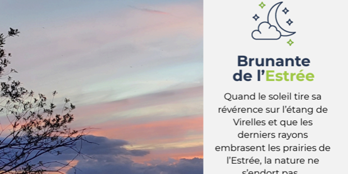 Brunante de l'estrée