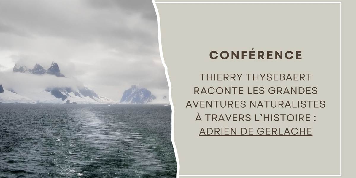 Dimanche 2102