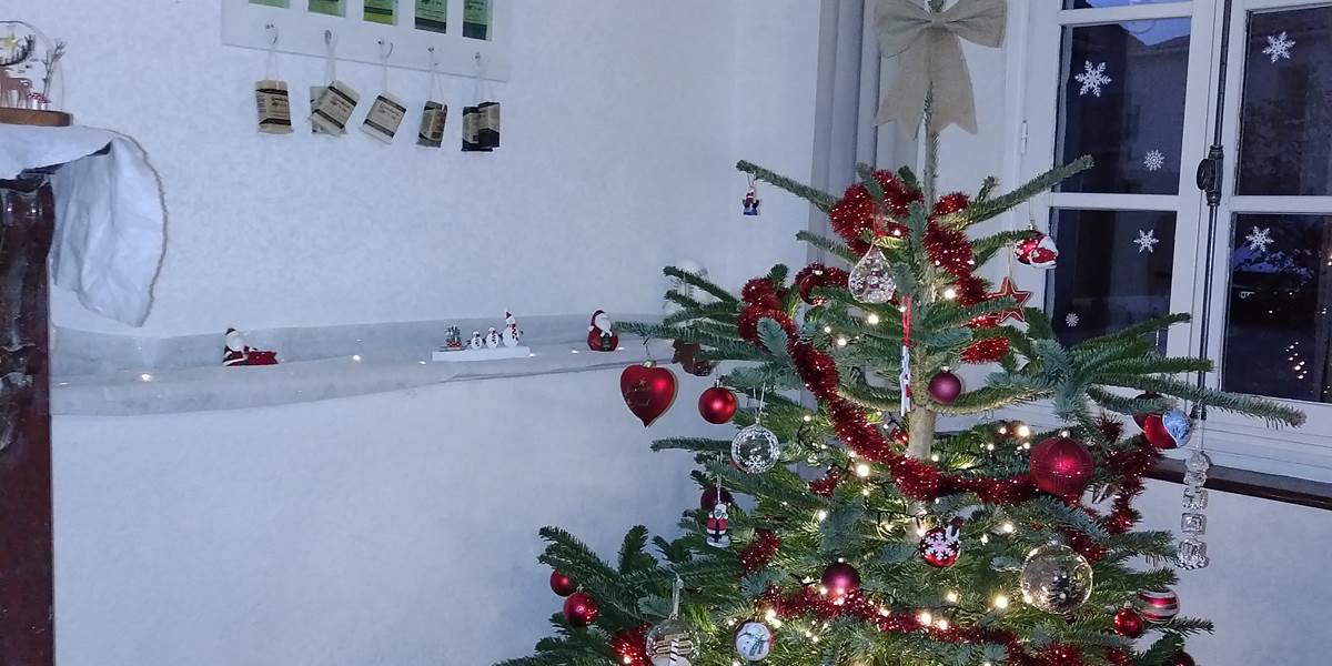 Les fêtes de fin d'année à Le Coq du Nord-Mailhac