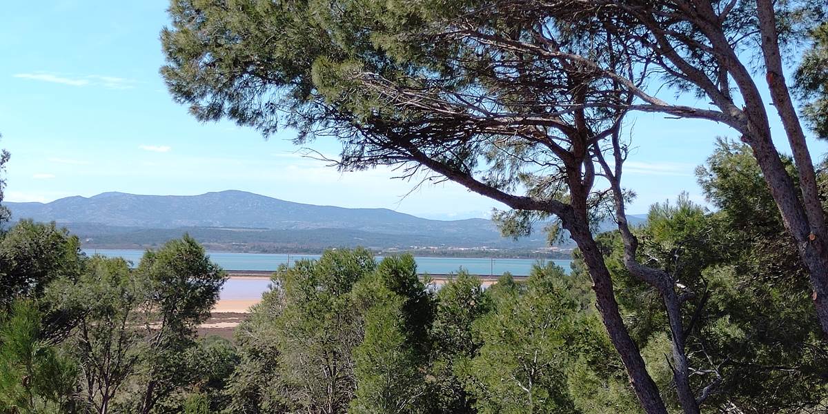 Sainte Lucie port la nouvelle
