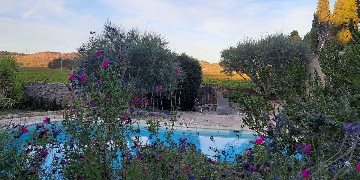 Notre piscine avec sa vue sur les vignes