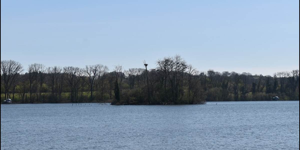 Vue étang