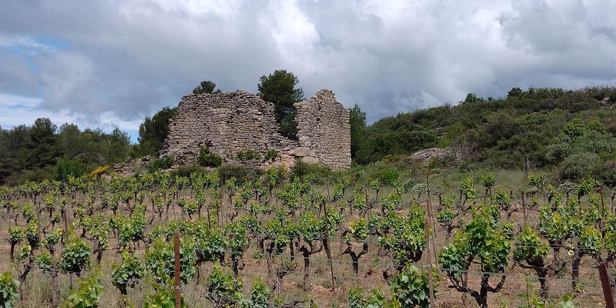 Mailhac 6000 ans d'histoire