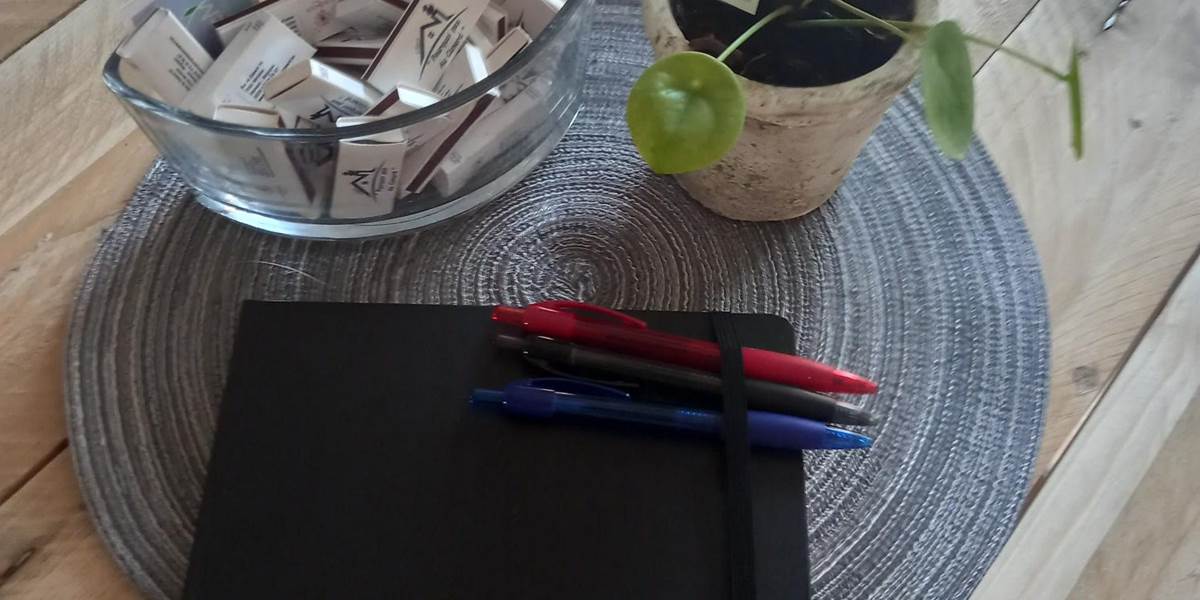 Bougies à la cire de soja ENTRE NOUS, plantes de chez Feurs de Cel,...