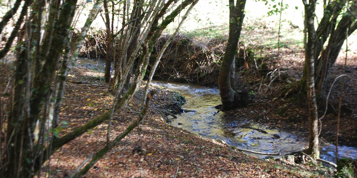 le ruisseaux des fantaisies à 15' à pied du Ranch des Lacs Hotel 87120