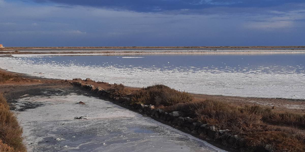Balade dans les salins
