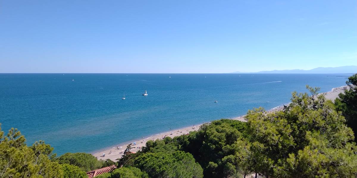 Leucate